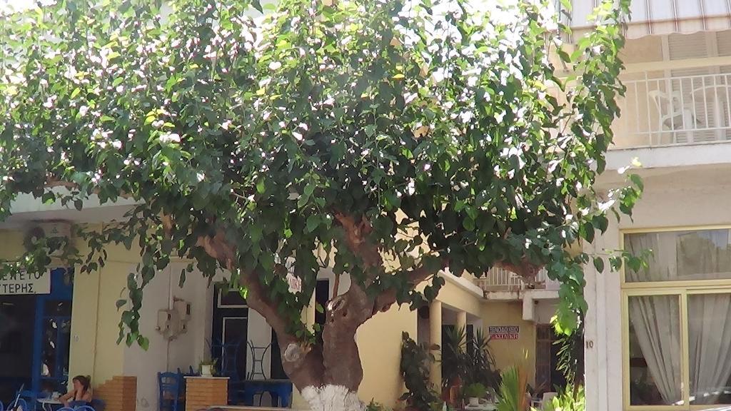 Mouroukis Rooms Loutra Edipsou  Buitenkant foto